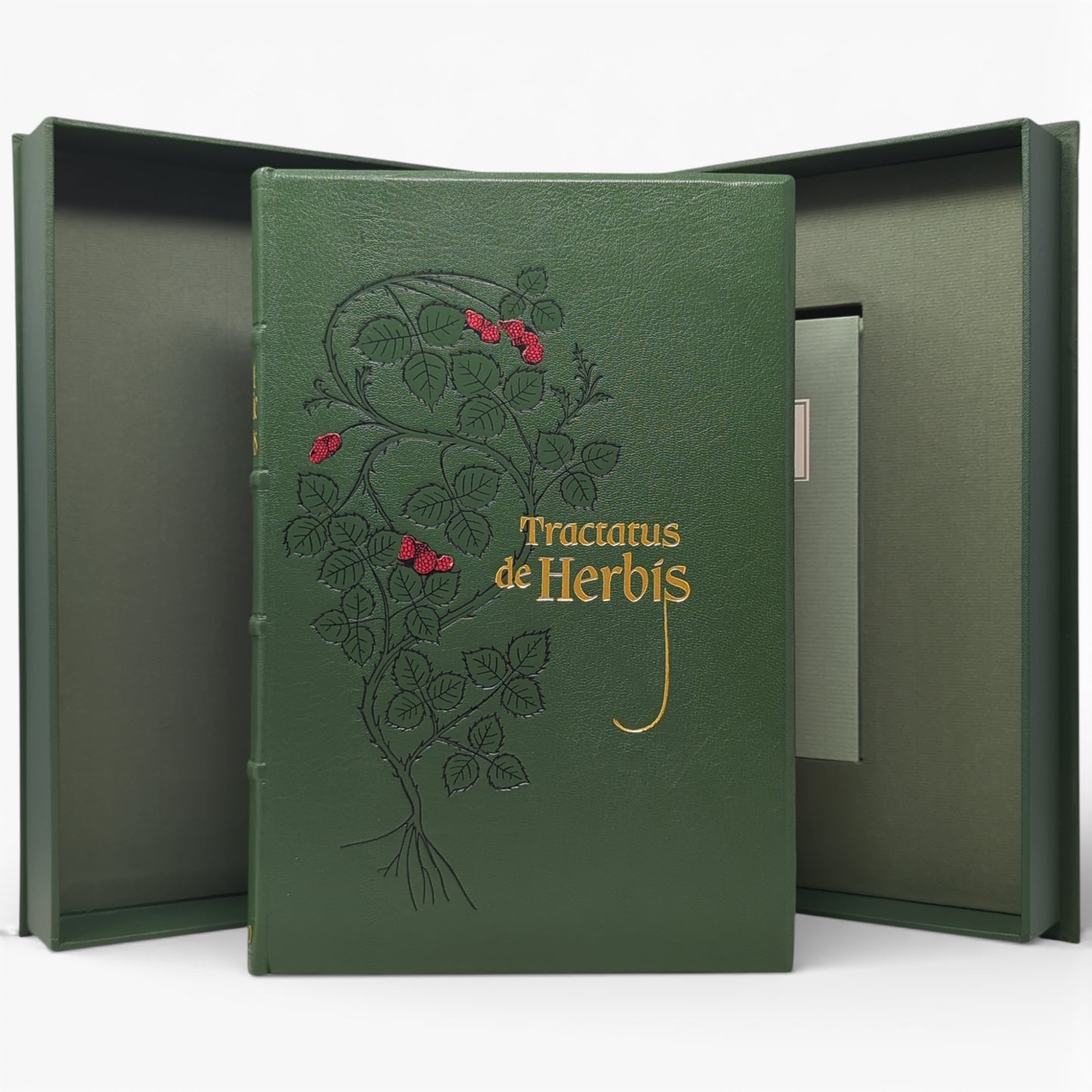 Tractatus de Herbis, Egerton MS 747