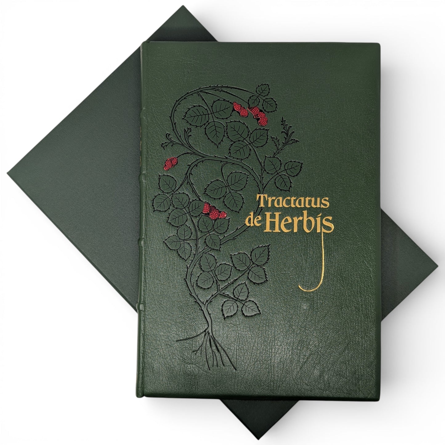 Tractatus de Herbis, Egerton MS 747