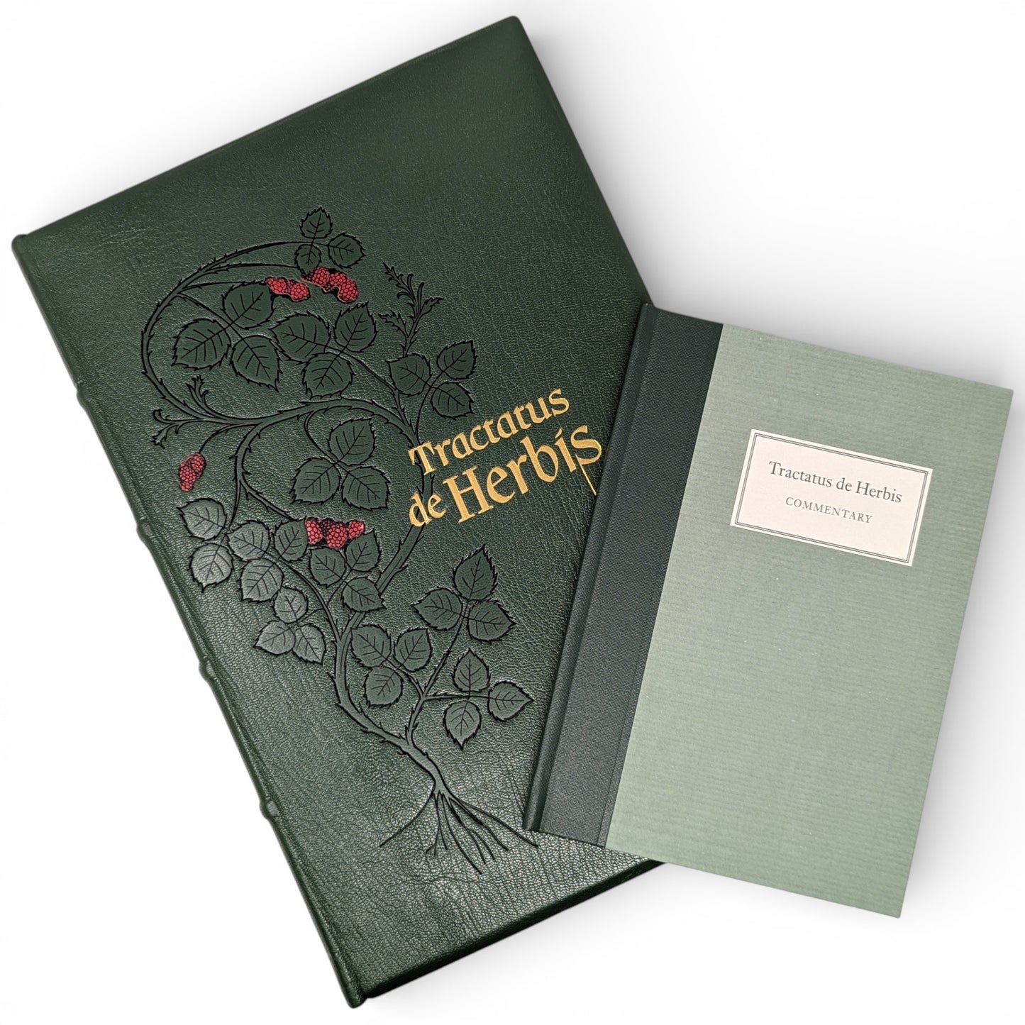 Tractatus de Herbis, Egerton MS 747