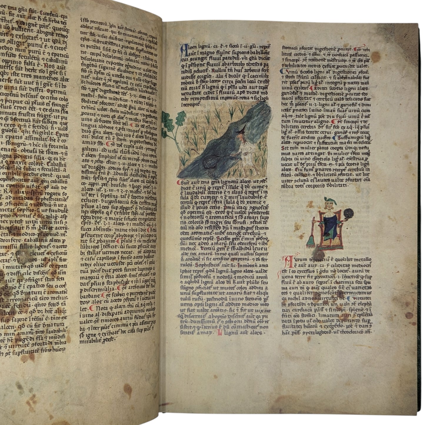 Tractatus de Herbis, Egerton MS 747