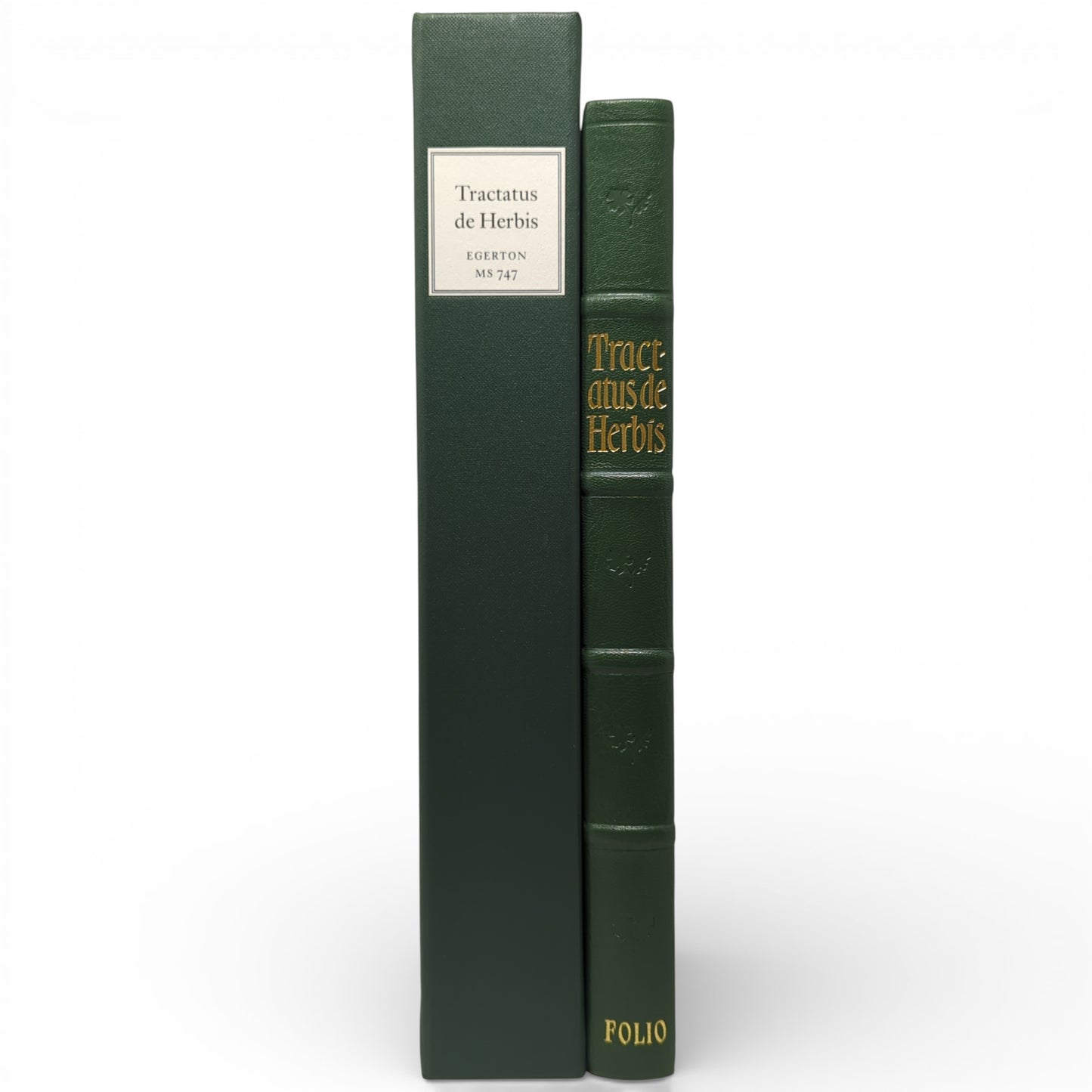 Tractatus de Herbis, Egerton MS 747