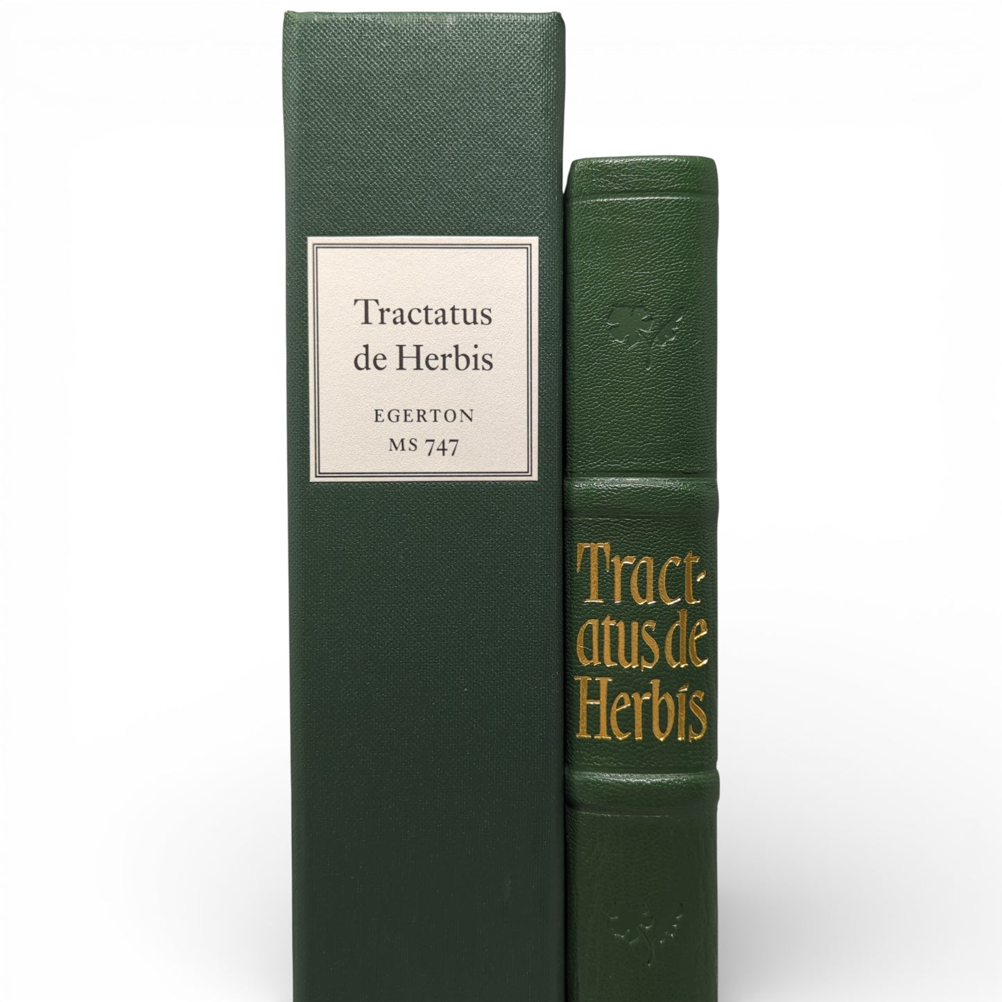 Tractatus de Herbis, Egerton MS 747