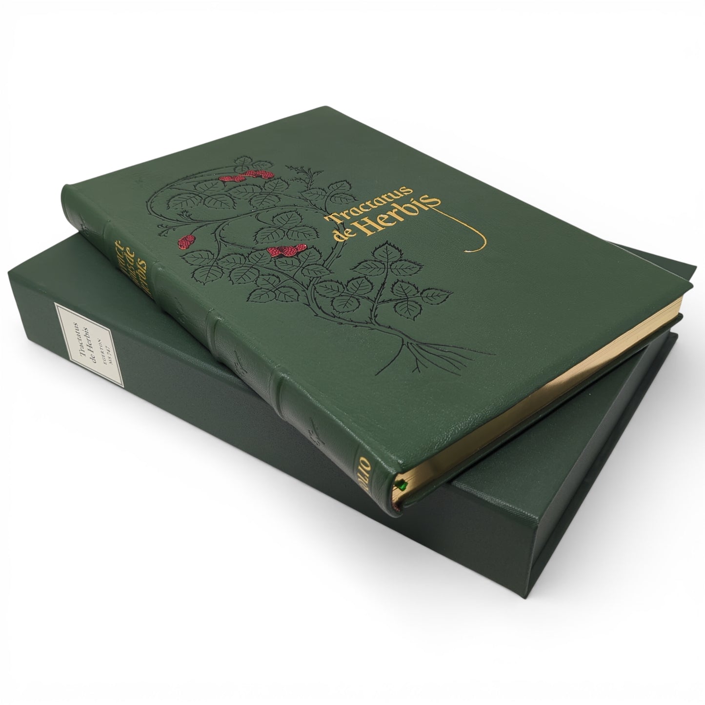 Tractatus de Herbis, Egerton MS 747