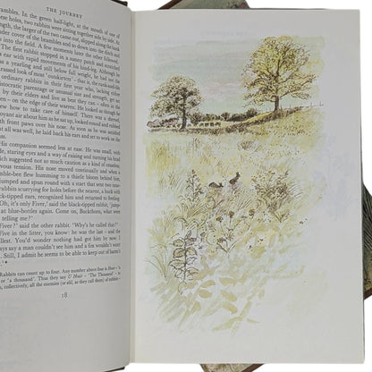 Watership Down