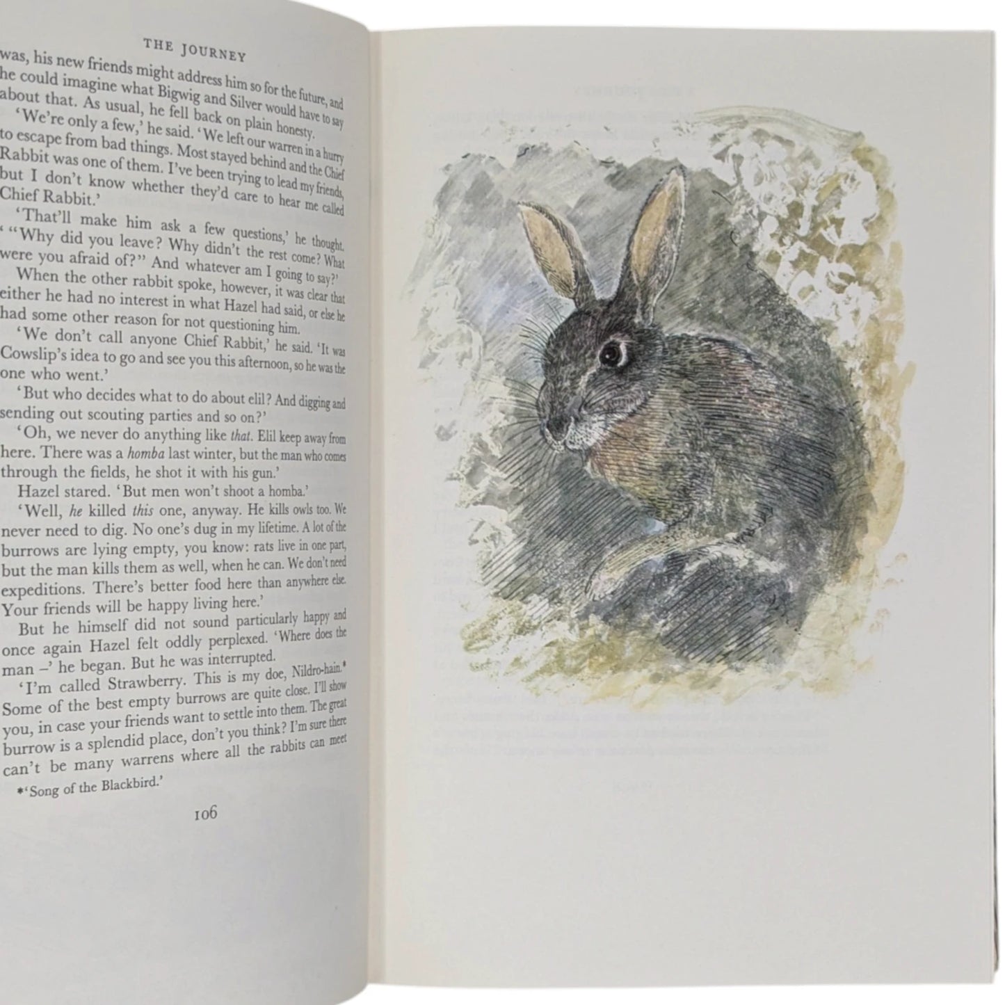 Watership Down
