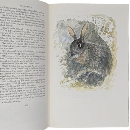 Watership Down