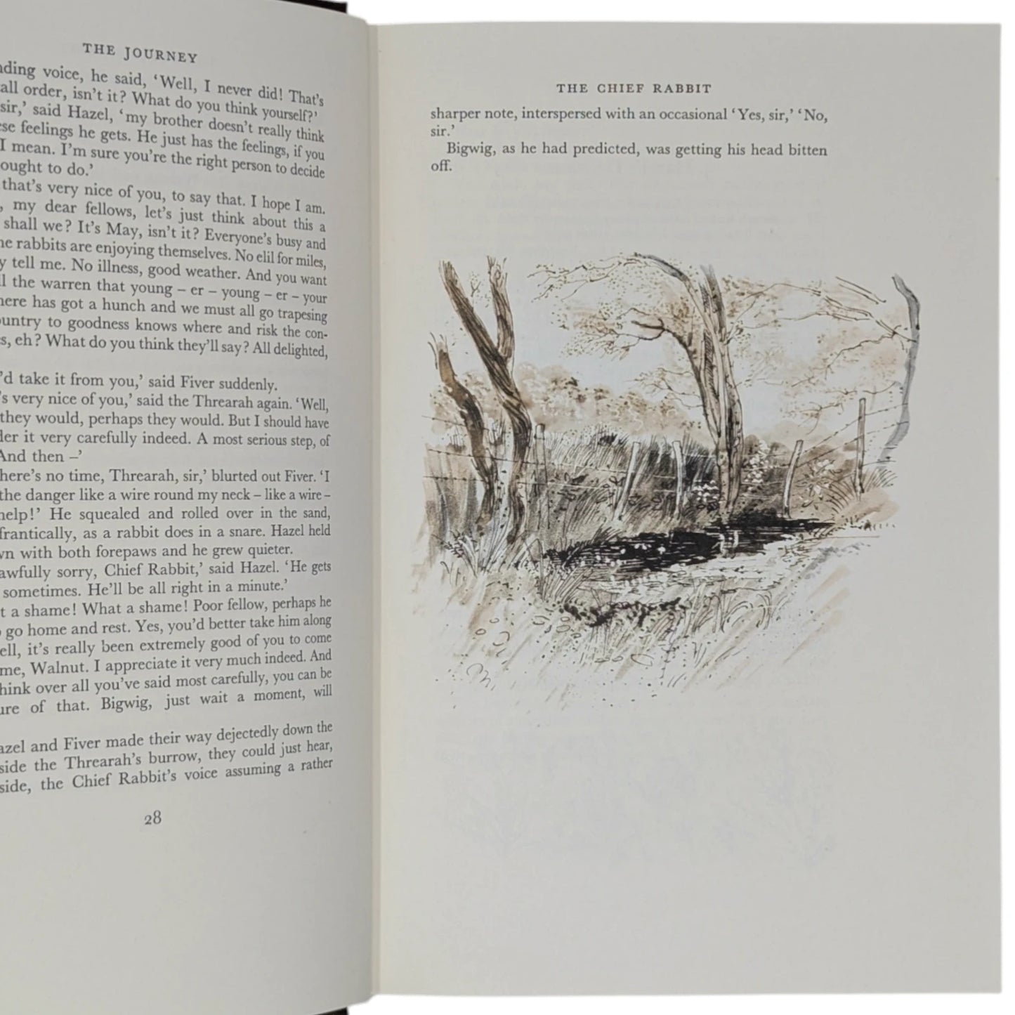 Watership Down
