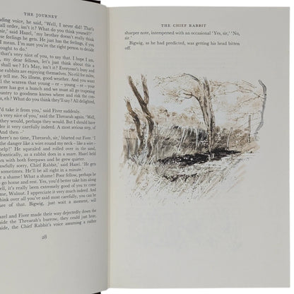 Watership Down