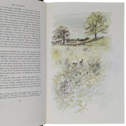 Watership Down
