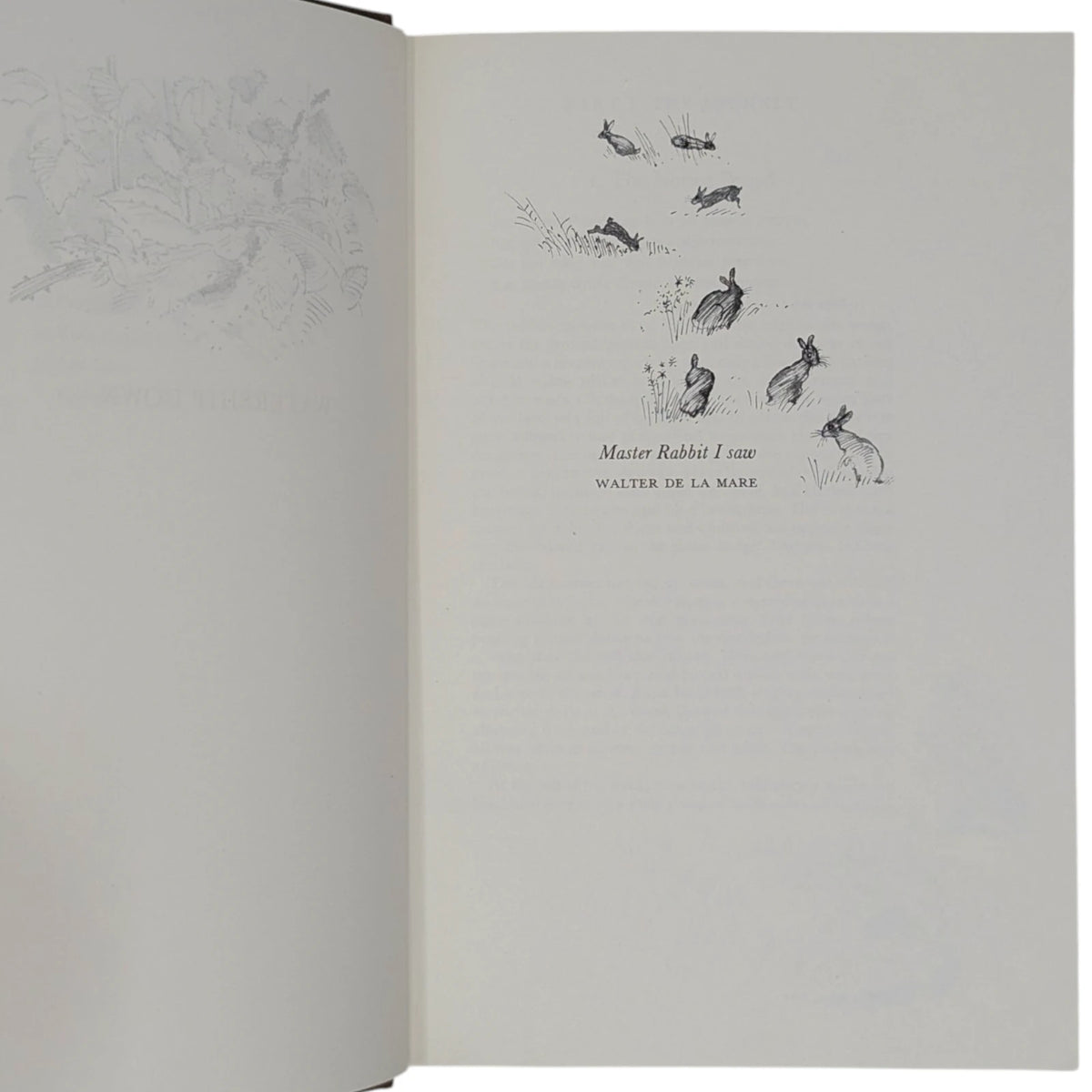 Watership Down