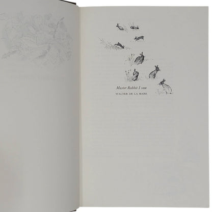 Watership Down