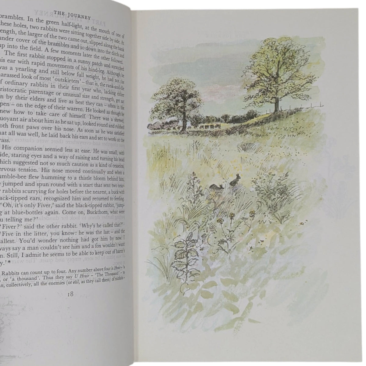 Watership Down