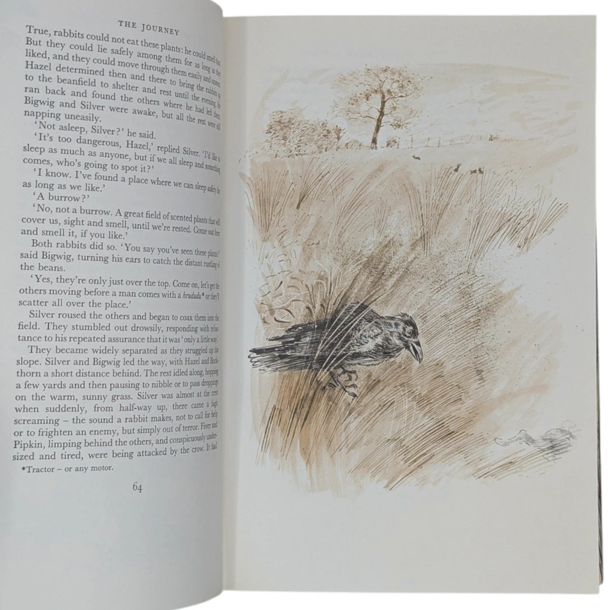 Watership Down