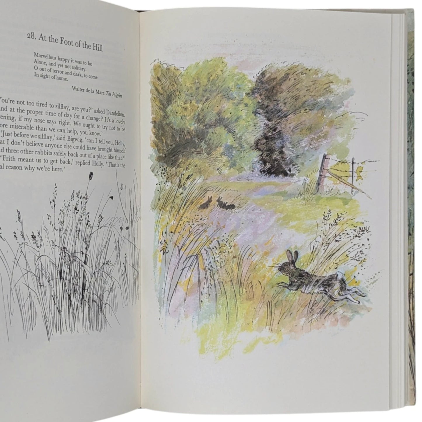 Watership Down