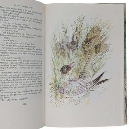Watership Down