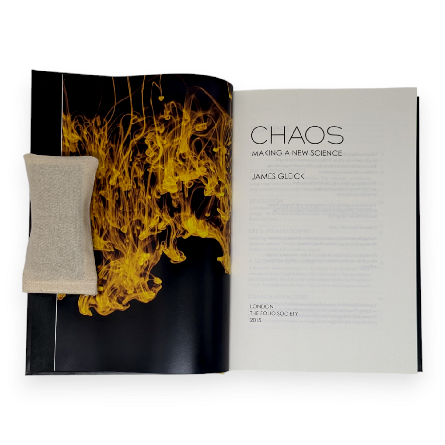 Chaos: Making a New Science