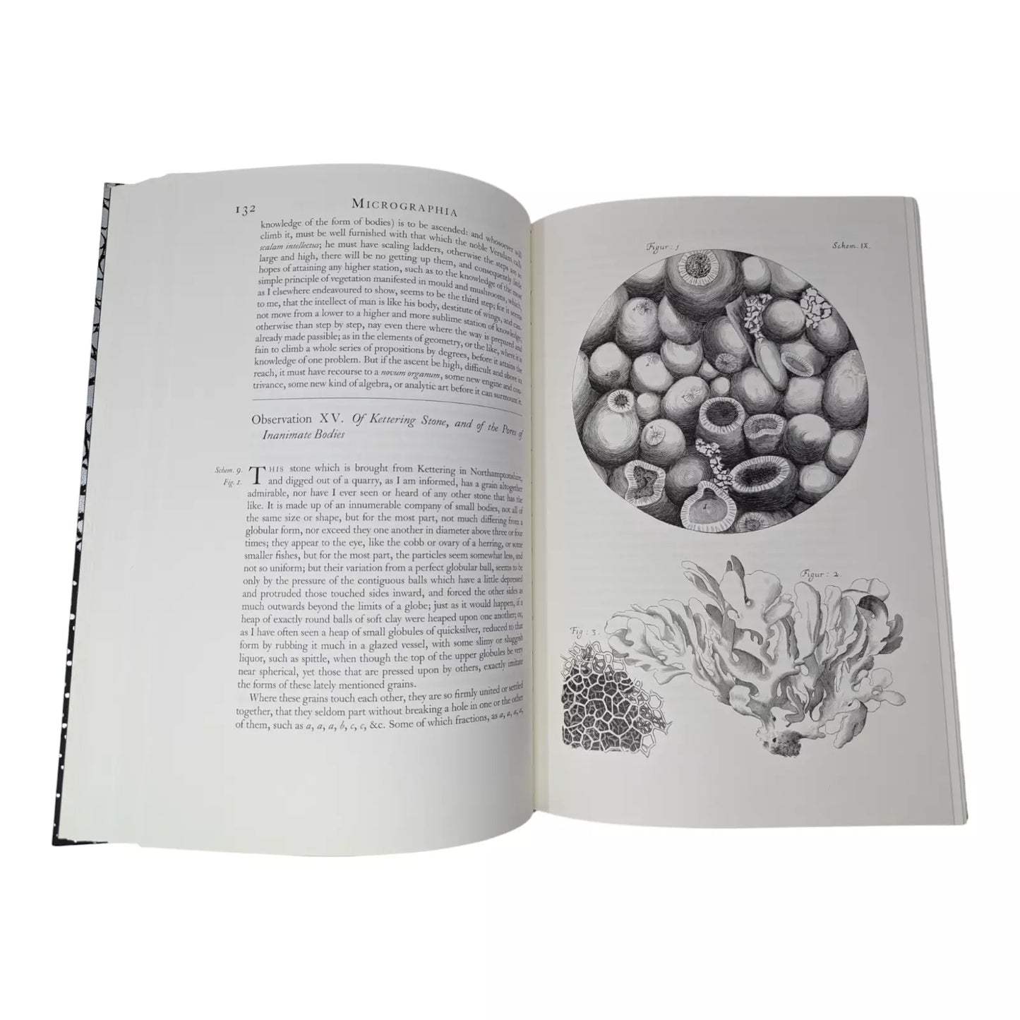 Micrographia or Some Physiological Description of Minute Bodies Made by Magnifying Glasses with Observations and Enquiries