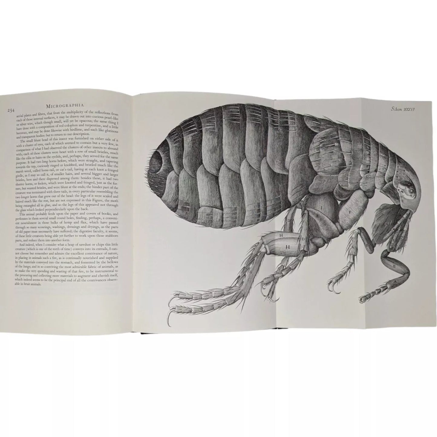 Micrographia or Some Physiological Description of Minute Bodies Made by Magnifying Glasses with Observations and Enquiries