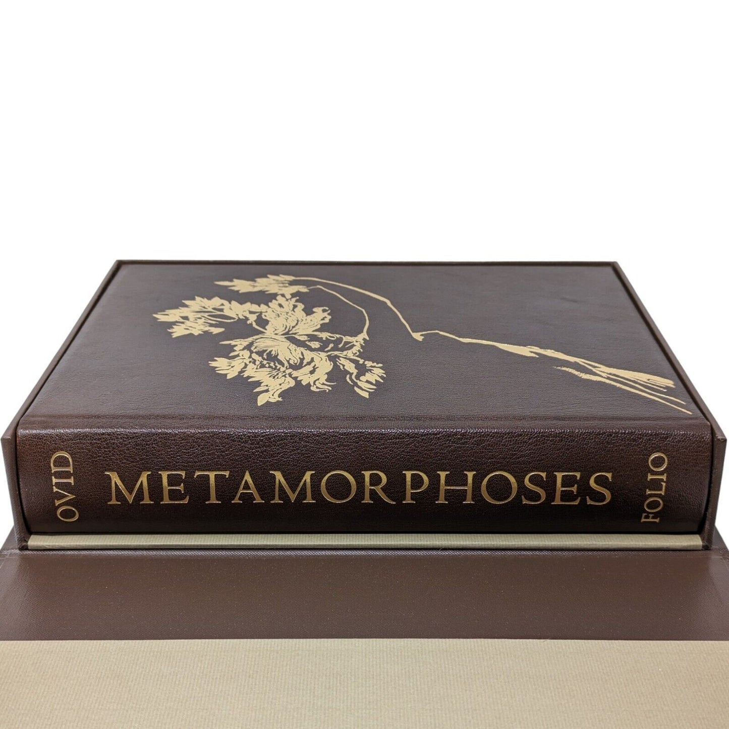 Metamorphoses